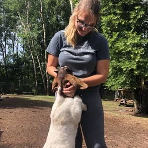 Meet your Posher, Alyssa